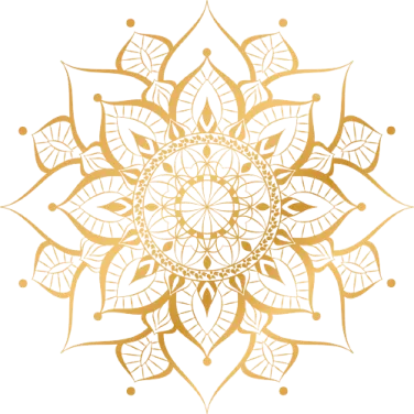 shape